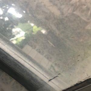 Meet your Posher, Eva